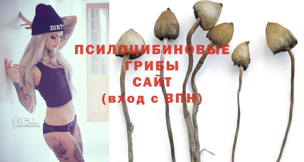 скорость Липки